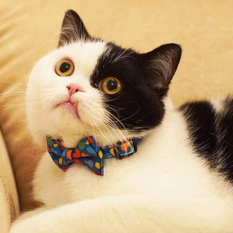 Kaķa kaklasiksna ar regulējamu zvaniņu kaķa kakla siksniņa ar tauriņu drošības atdalāmām kaķu kakla siksnām ar ziedu pildījumu, noņemams regulējams kucēns