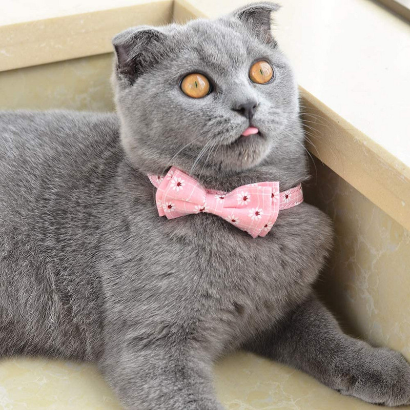 Kaķa kaklasiksna Breakaway ar zvaniņu un tauriņu ziedu rakstu ar ziedu rakstu, regulējams bantītis, kaķenes kaķenes kucēnu kaklasiksnas