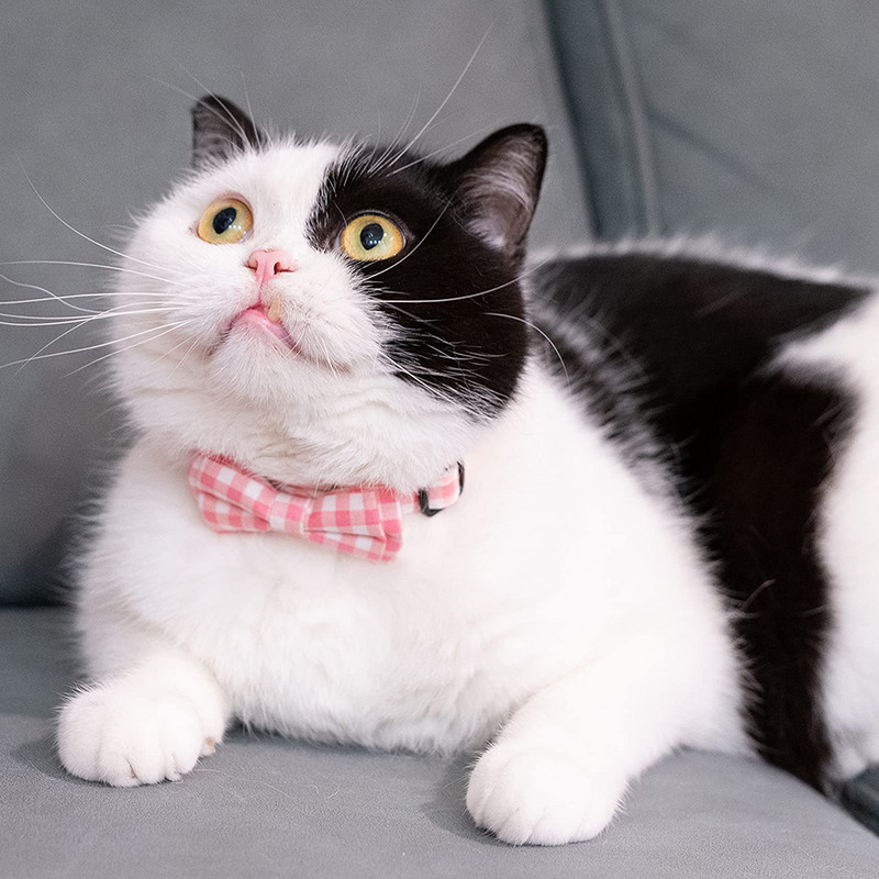 Breakaway macskanyakörv, virágos virágnyomatok tömör csokornyakkendő és csengő biztonsági cicanyakörv, állítható lány teáscsészéhez, rózsaszín színű