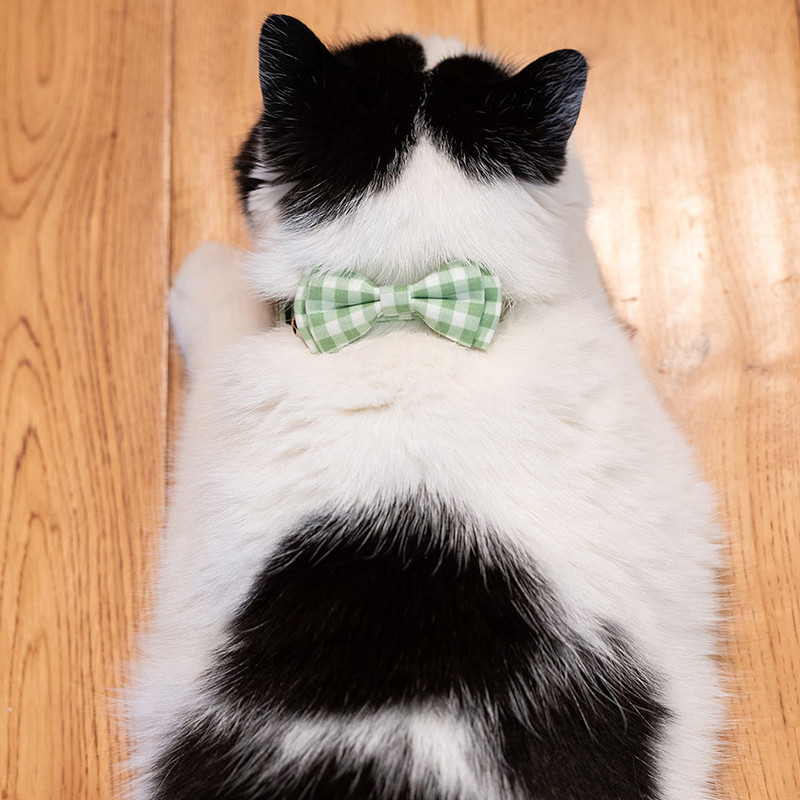 Breakaway macskanyakörv, virágos virágnyomatok tömör csokornyakkendő és csengő biztonsági cicanyakörv, állítható lány teáscsészéhez, rózsaszín színű