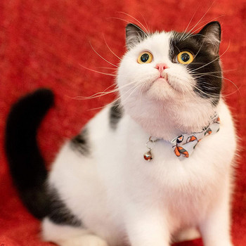 Φιόγκος με κολάρο γάτας με ρυθμιζόμενο καμπάνα, χαριτωμένα μοτίβα, εξατομικευμένα παπιγιόν με πόρπη για γατάκι για κουτάβι γάτας