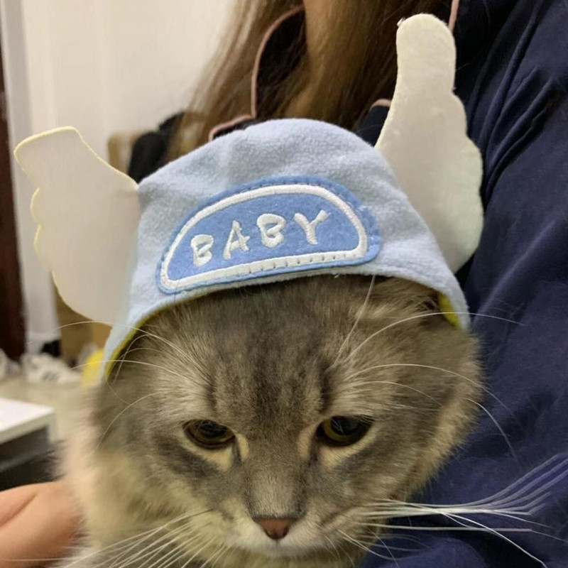 Mīksta silta mājdzīvnieku cepure Smieklīga mājdzīvnieku cepure ar jauku eņģeļa spārnu formu, regulējamu stiprinājuma lenti suņiem kaķiem mājas ballīšu dekorēšanai suņiem