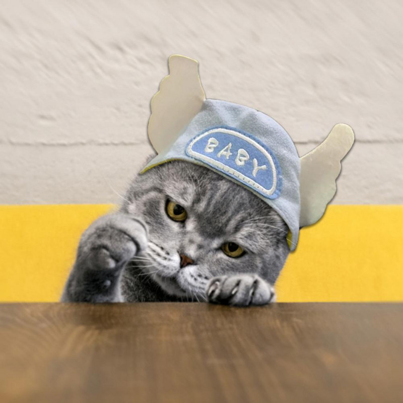 Mīksta silta mājdzīvnieku cepure Smieklīga mājdzīvnieku cepure ar jauku eņģeļa spārnu formu, regulējamu stiprinājuma lenti suņiem kaķiem mājas ballīšu dekorēšanai suņiem