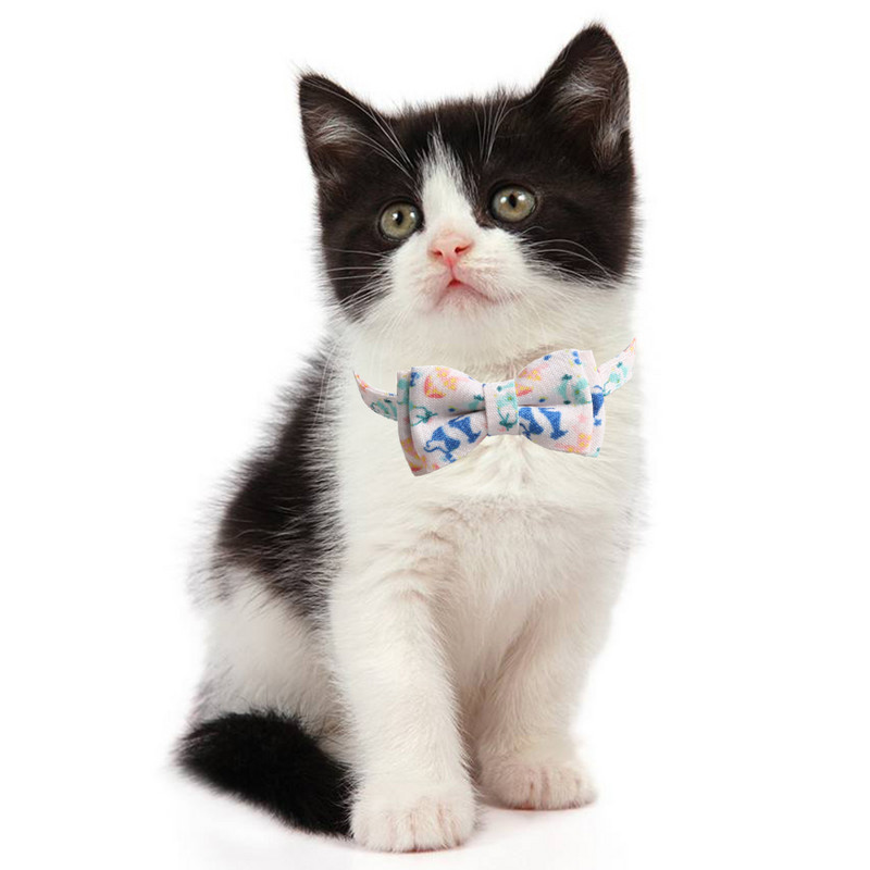 Breakaway kaķa kakla siksna ar zvaniņu un tauriņu vasaras kaktusa saldējuma rakstiem, regulējami drošības kaķēnu kaklasiksnas mājdzīvnieku maziem suņiem