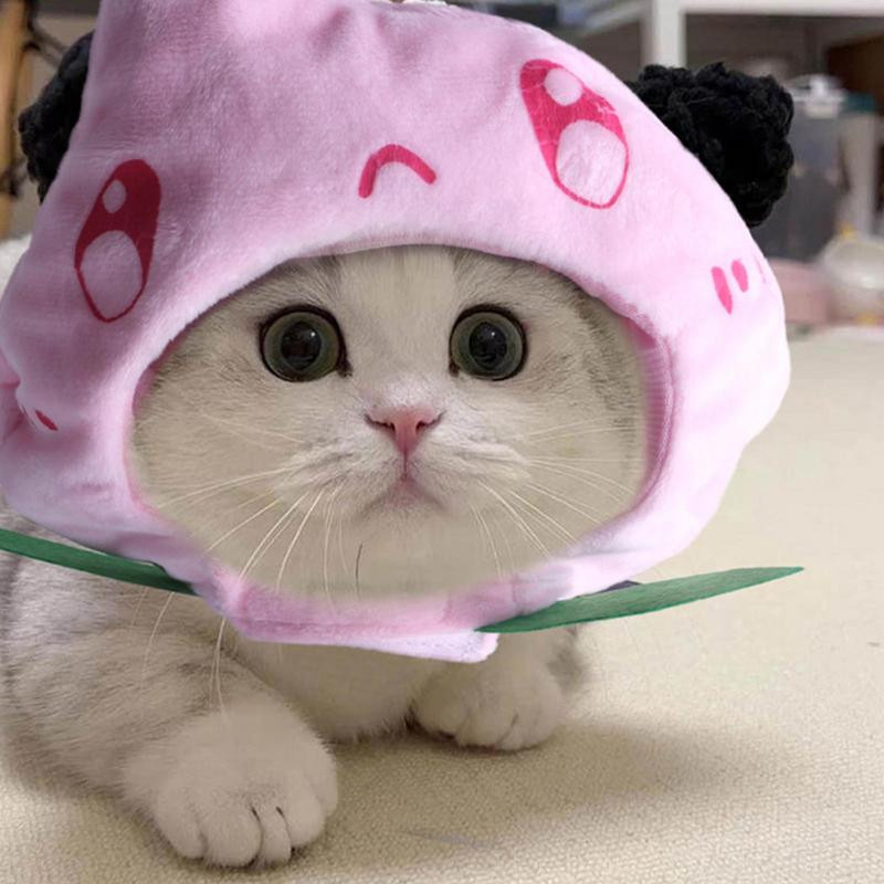 Kaķu cepures Mājdzīvnieku izstrādājumi Regulējama izmēra Mazgājams Mīlīgs dizains Apburoša plīša persiku kaķu cepure Cepure maziem vidēji lieliem suņiem