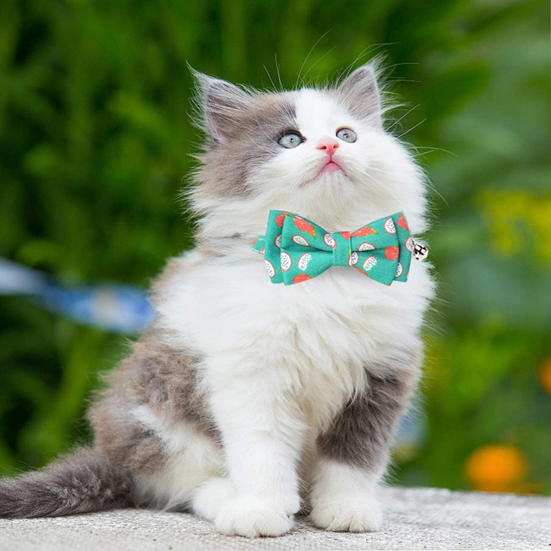 Breakaway kaķa kaklasiksna ar zvaniņu un piederumiem ķiršu apdruka kaķēnu kaklasiksna tauriņa drošība kaķēnam 10 krāsu regulējama