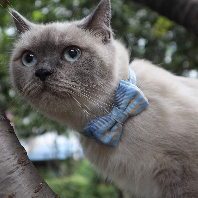 Kaķa kaklasiksna Breakaway ar klasisku rūtainu tauriņu un zvana regulējamām kaķēnu drošības kaklasiksnām mājdzīvniekiem un kucēniem no 7,8–10,2 collas