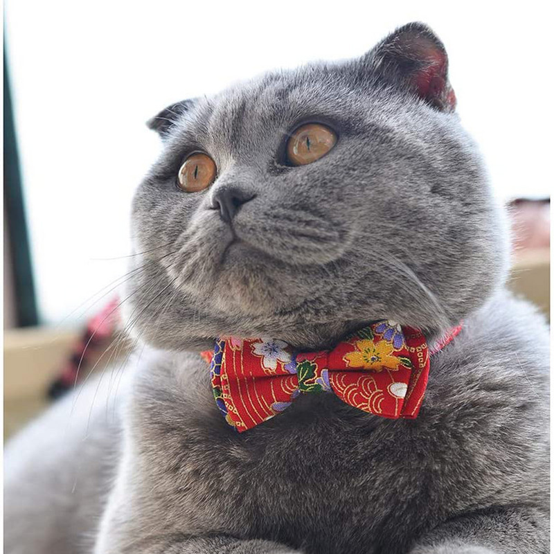 Αποσπώμενος γιακάς γάτας με κουδούνι και παπιγιόν Ιαπωνικό Lucky Floral Pattern Αποσπώμενο Φιόγκο Ρυθμιζόμενο κολάρο ασφαλείας για γατάκι για κατοικίδια