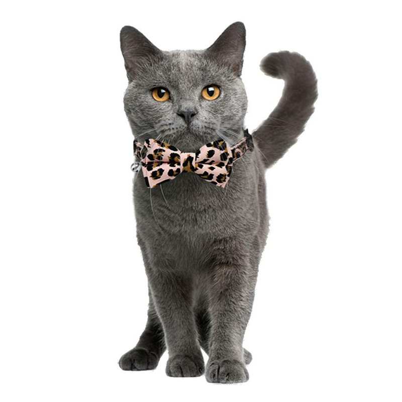 Macskanyakörv, aranyos csokornyakkendővel és csengővel cicáknak és más kistestű kutyáknak, 7,8-10,5 hüvelyk között állítható