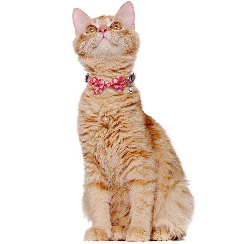 Valentin-napi macskanyakörv, aranyos csokornyakkendővel és csengővel Kittynek Állítható biztonság Love Heart cicanyakörv háziállatok számára