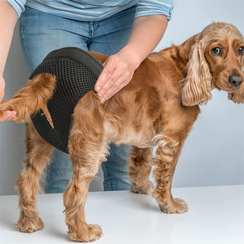 Γυναικεία εσώρουχα σκύλου με 8 βαμβακερά μαξιλαράκια επαναχρησιμοποιούμενες πάνες για κατοικίδια με αναπνεύσιμο πλέγμα εύκαμπτη προσαρμοστική πόρπη που πλένεται πλένονται