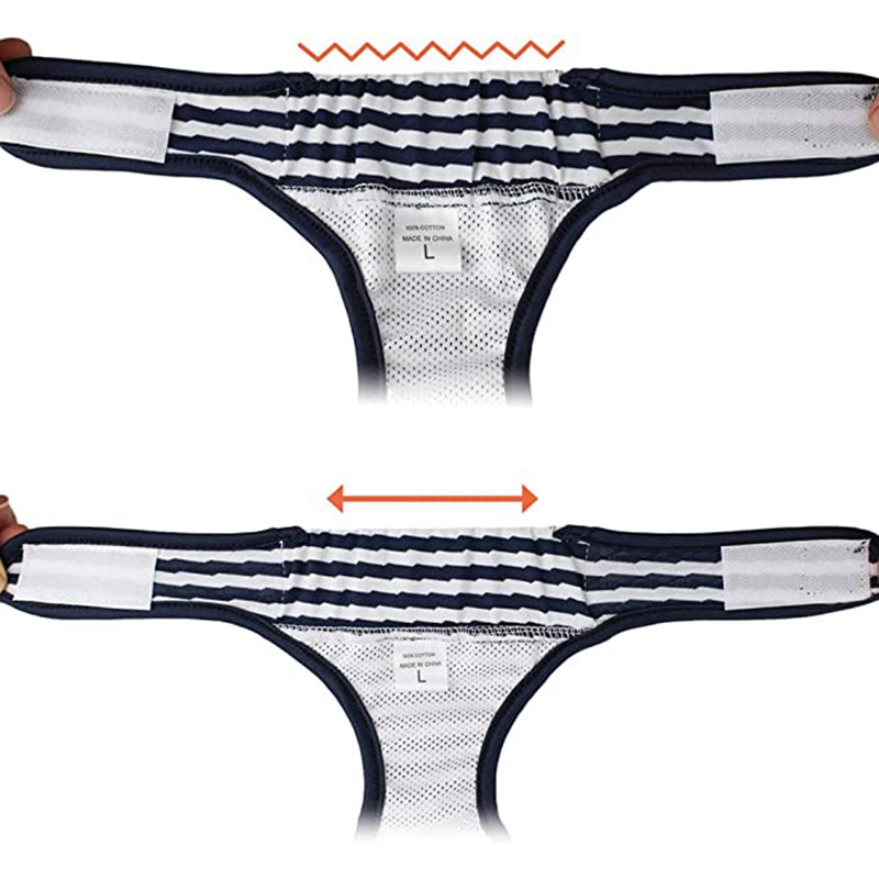 Раирани пелени за кучета Миещи се физиологични панталони за кучета Регулируеми бикини за кученца Бельо Женска пелена за кучета Инструмент за кученца Honden Kleding