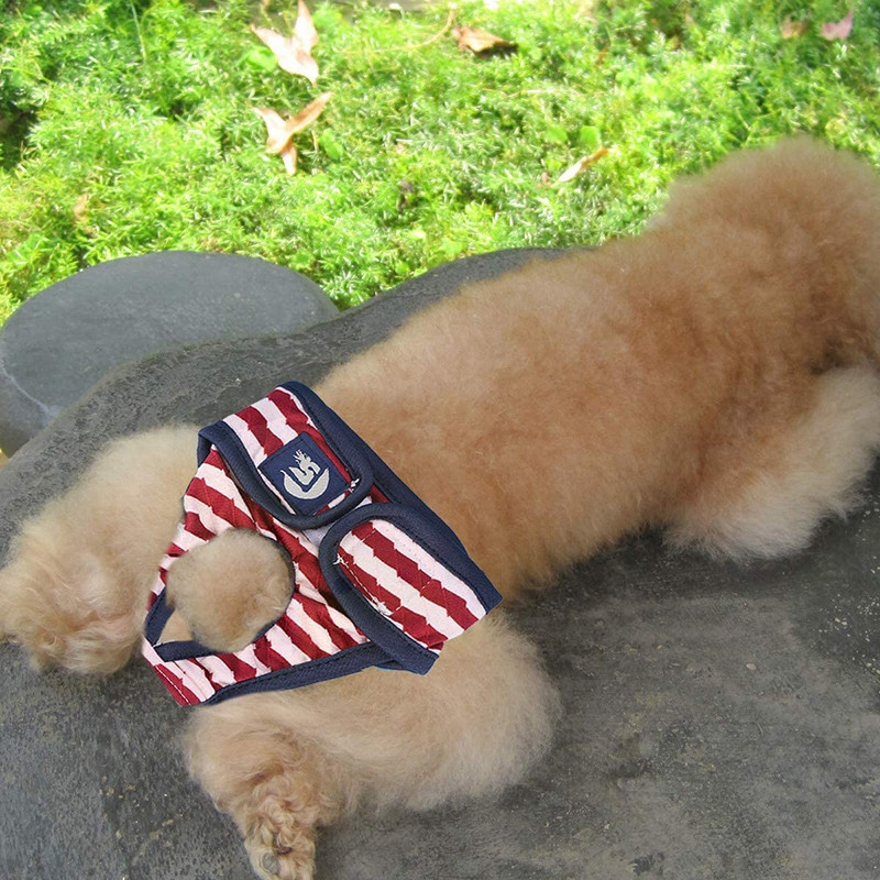 Раирани пелени за кучета Миещи се физиологични панталони за кучета Регулируеми бикини за кученца Бельо Женска пелена за кучета Инструмент за кученца Honden Kleding