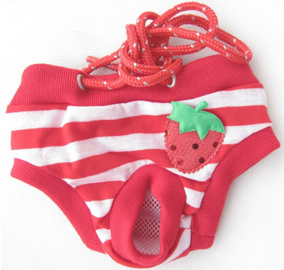 Θηλυκά σκυλιά κατοικίδιων ζώων Παντελόνι φυσιολογικής εμμηνορροϊκής υγιεινής οίστρος Μικρά σκυλιά κατοικίδιων κατοικίδιων σκύλων κουτάβι γάτας Ρούχα σκυλάκια εσώρουχα σκύλου τζιν παντελόνια