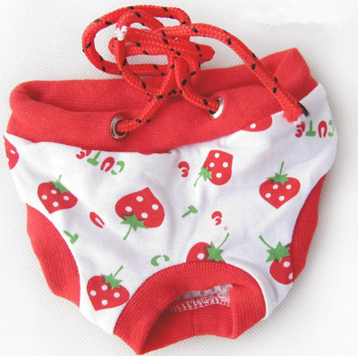 Θηλυκά σκυλιά κατοικίδιων ζώων Παντελόνι φυσιολογικής εμμηνορροϊκής υγιεινής οίστρος Μικρά σκυλιά κατοικίδιων κατοικίδιων σκύλων κουτάβι γάτας Ρούχα σκυλάκια εσώρουχα σκύλου τζιν παντελόνια