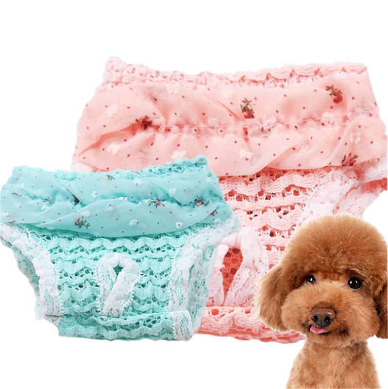 Θηλυκά σκυλιά κατοικίδιων ζώων Παντελόνι φυσιολογικής εμμηνορροϊκής υγιεινής οίστρος Μικρά σκυλιά κατοικίδιων κατοικίδιων σκύλων κουτάβι γάτας Ρούχα σκυλάκια εσώρουχα σκύλου τζιν παντελόνια