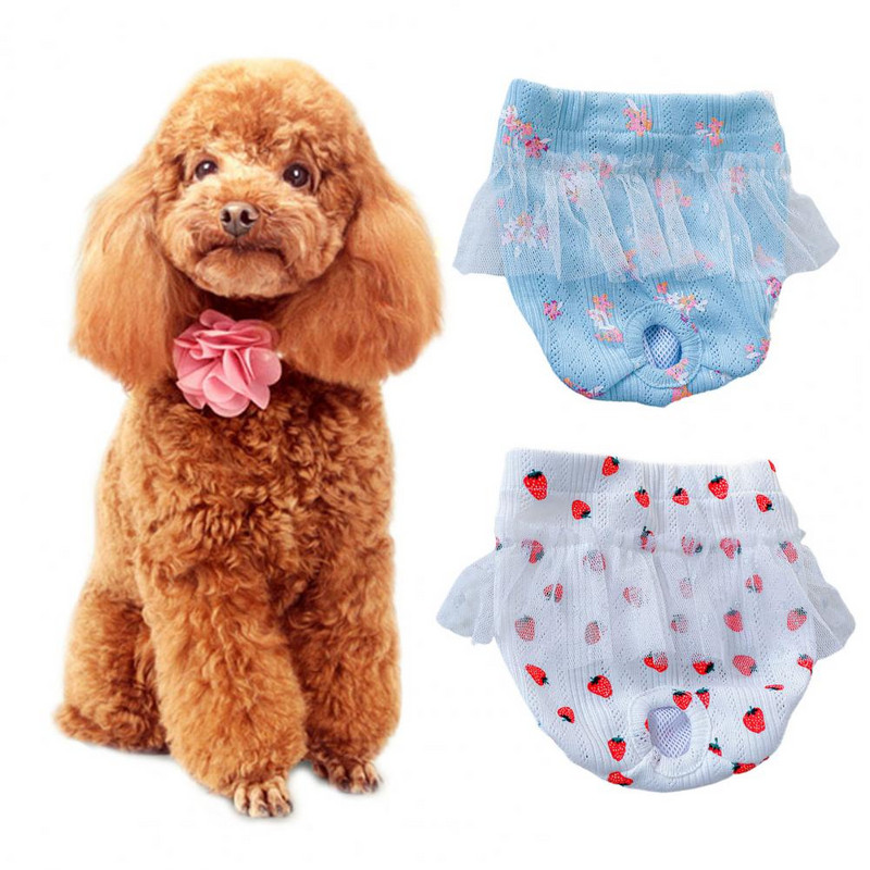 Mājdzīvnieku higiēnas bikses Īsas autiņbiksītes Fizioloģiskās bikses Mežģīnes Mazgājamas zemeņu/ziedu raksts Poliesters Sieviešu suņiem Mājdzīvnieku piederumi