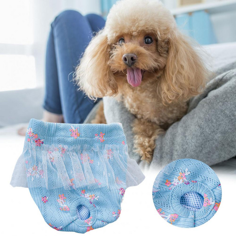 Mājdzīvnieku higiēnas bikses Īsas autiņbiksītes Fizioloģiskās bikses Mežģīnes Mazgājamas zemeņu/ziedu raksts Poliesters Sieviešu suņiem Mājdzīvnieku piederumi