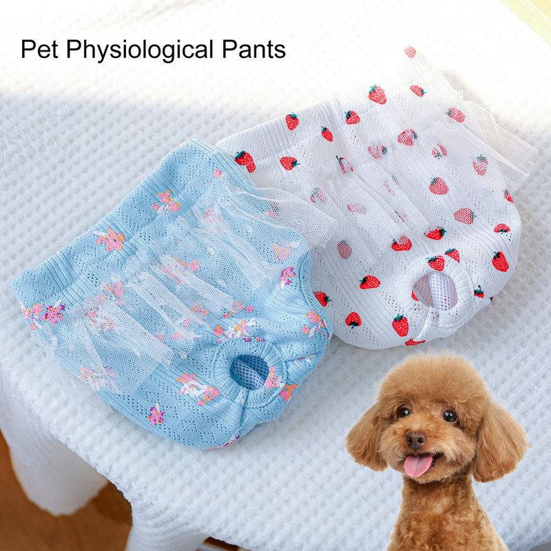 Mājdzīvnieku higiēnas bikses Īsas autiņbiksītes Fizioloģiskās bikses Mežģīnes Mazgājamas zemeņu/ziedu raksts Poliesters Sieviešu suņiem Mājdzīvnieku piederumi