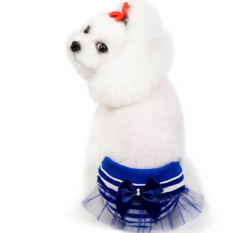 Aranyos csíkok Csipke Kutya Fiziológiás Nadrág Pelenka Mosható Női Kisállat Kutya Macska Rövidnadrág Pelenka Egészségügyi Alsónadrág Kutya macskának