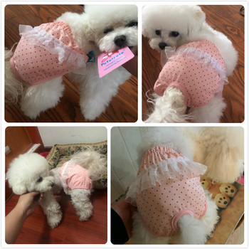 Πριγκίπισσα κιλότα για σκύλους Ροζ χαριτωμένο βαμβακερό παντελόνι για κατοικίδια Γυναικεία κορίτσι γάτα Εσώρουχα παντελόνια πάνα Φυσιολογικά αξεσουάρ υγιεινής