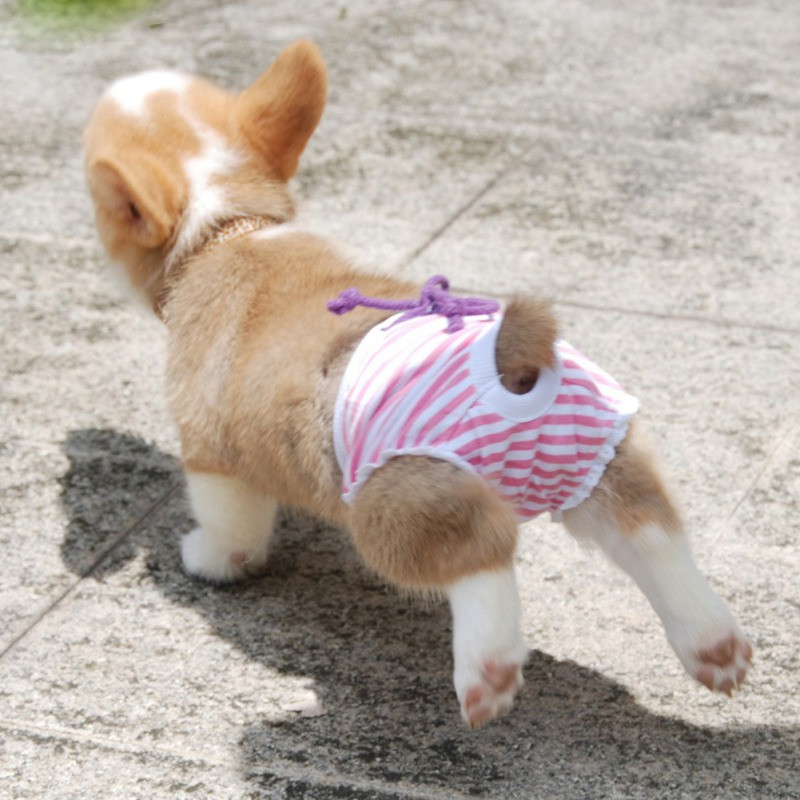 Kutyák fiziológiás nadrágok Egészségügyi csíkos pelenka kölyökkutya nőstények szép háziállatok fehérnemű Lány kutya macska kellékek Hot Elad