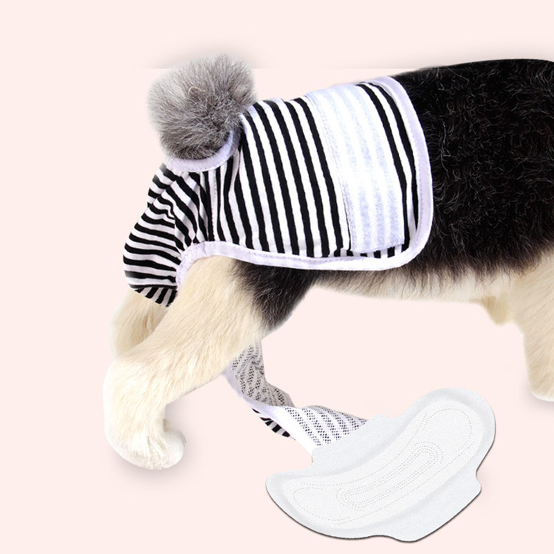 Sauskelnės dideliems mažiems šunims menstruacijų apatiniai sauskelnės kelnaitės Daugkartinės higieninės kontracepcijos sauskelnės patinams šunų patinams