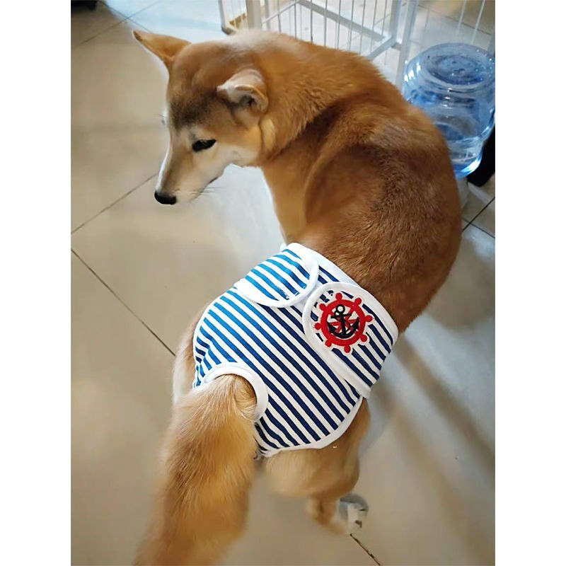 Sauskelnės dideliems mažiems šunims menstruacijų apatiniai sauskelnės kelnaitės Daugkartinės higieninės kontracepcijos sauskelnės patinams šunų patinams