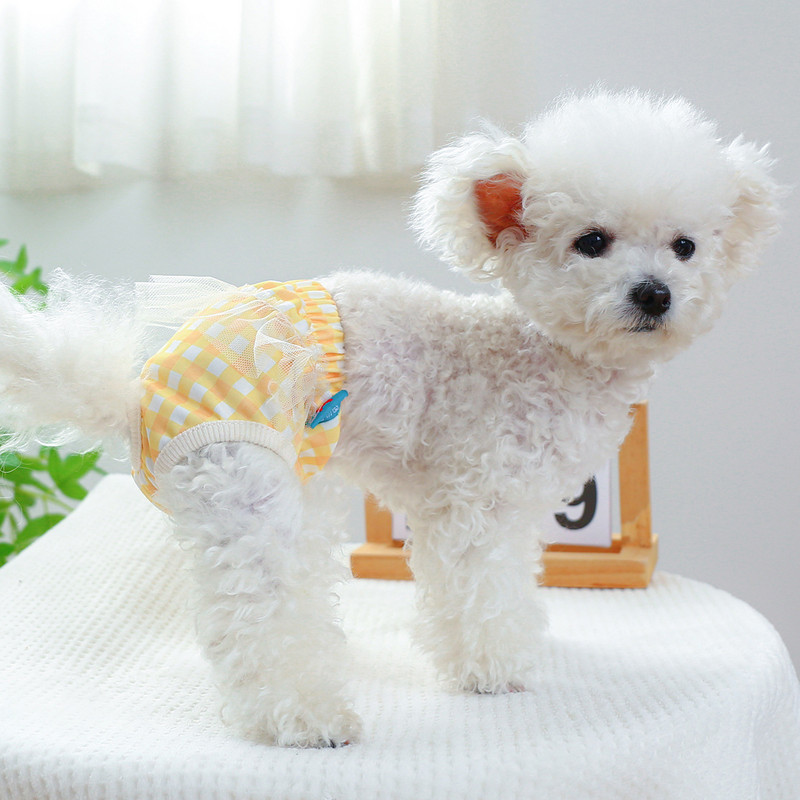 Plaids Mežģīnes Kokvilna Mājdzīvnieku suns Fizioloģija Bikses Suņu Šorti Kaķu Apakšveļa Kucēns Jauki Autiņš Mežģīnes Mala Sanitārās Biksītes Biksītes Čivava