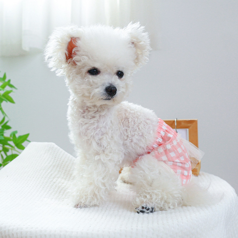 Plaids Mežģīnes Kokvilna Mājdzīvnieku suns Fizioloģija Bikses Suņu Šorti Kaķu Apakšveļa Kucēns Jauki Autiņš Mežģīnes Mala Sanitārās Biksītes Biksītes Čivava