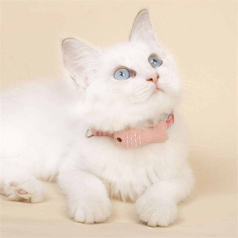 Mājdzīvnieku kaķu kaklasiksna Kokvilnas izšūšana Apkakle kaķu kaklarota Kaķu aksesuāri