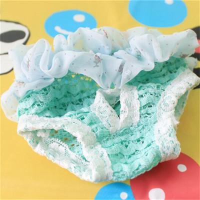 Teddy Dog fizioloģiskās bikses mājdzīvnieku fizioloģiskās Bikses Suns Menstruālās Bikses Prettraucējumi Sanitārās Bikses Urīns Bikses Urīns Nav slapjš