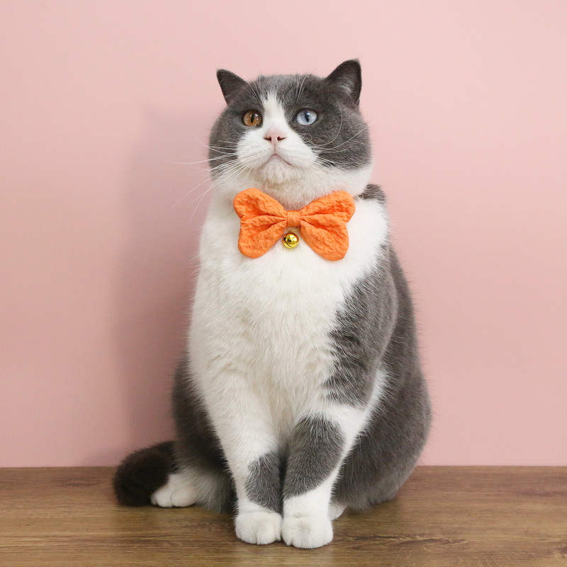 Candy Color Džinsu mājdzīvnieku kaklasiksnas Jauns kucēnu suns Bow Zvanu kaklasiksnas Jauki Kaķu kaklasiksnas Regulējamas Mājdzīvnieku Apģērba Kaklarota Mājdzīvnieku Aksesuāri