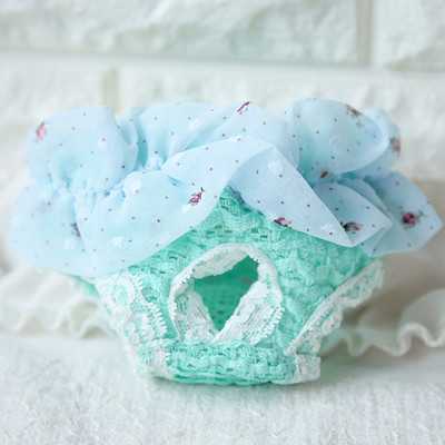 Mājdzīvnieku suņu Šorti Mežģīnes Sanitārās Fizioloģiskās Bikses Mazgājamas Kokvilnas Mājdzīvnieki Biksītes Autiņbiksītes Sieviešu suņiem Menstruācijas Biksītes Apakšveļa