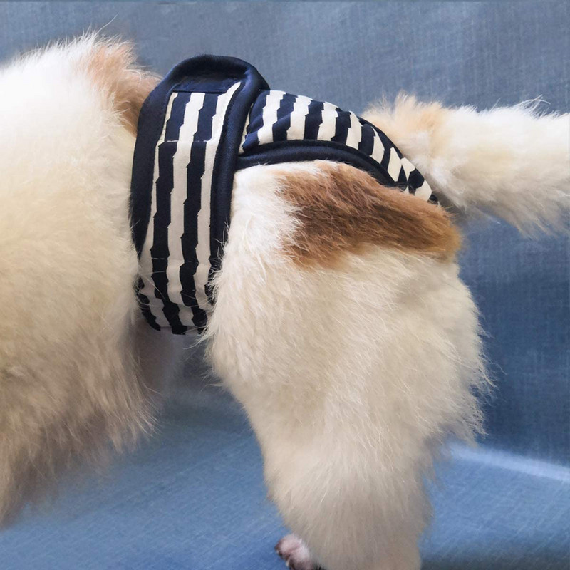 Kutya pelenkák Fiziológiás nadrágok Női kutya rövidnadrágok Mosható női kutya rövidnadrágok Puha lányok Kutyák nadrágok Kisállat alsónemű Egészségügyi bugyi