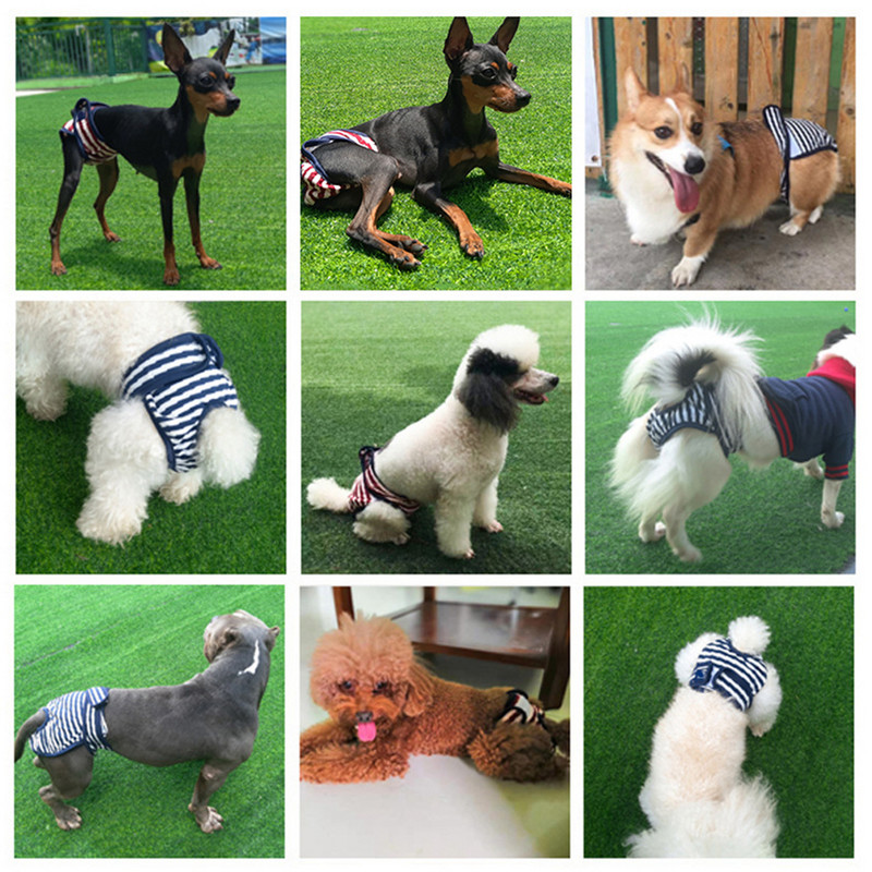 Kutya pelenkák Fiziológiás nadrágok Női kutya rövidnadrágok Mosható női kutya rövidnadrágok Puha lányok Kutyák nadrágok Kisállat alsónemű Egészségügyi bugyi