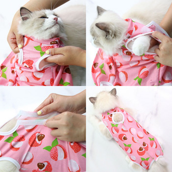 Ρούχα αποστείρωσης γάτας Αντιολισθητική στολή για χειρουργείο κατοικίδιων για μικρόσωμο σκύλο Γάτα που απογαλακτίζεται αναπνεύσιμο κουτάβι αντιχαρακτική λουράκι σώματος