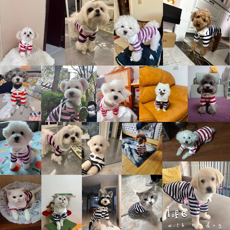 Nyári kutyapóló Divat Kutyaruhák Aranyos csíkos kisállat kölyökkutya vékony ing Puha macskamellény Kisállat cica kutyaruházat Chihuahua kutyaruhák