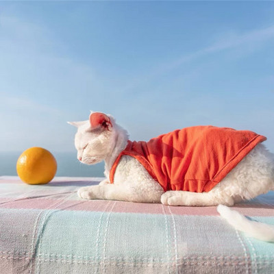 Sfinksa kaķa apģērbs Vasaras luksusa mājdzīvnieku veste Kokvilna Kails kaķēns bez piedurknēm T krekls kucēns maziem suņiem Apģērbs kaķiem Sfinksa