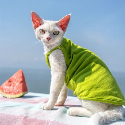 Sfinksa kaķa apģērbs Vasaras luksusa mājdzīvnieku veste Kokvilna Kails kaķēns bez piedurknēm T krekls kucēns maziem suņiem Apģērbs kaķiem Sfinksa