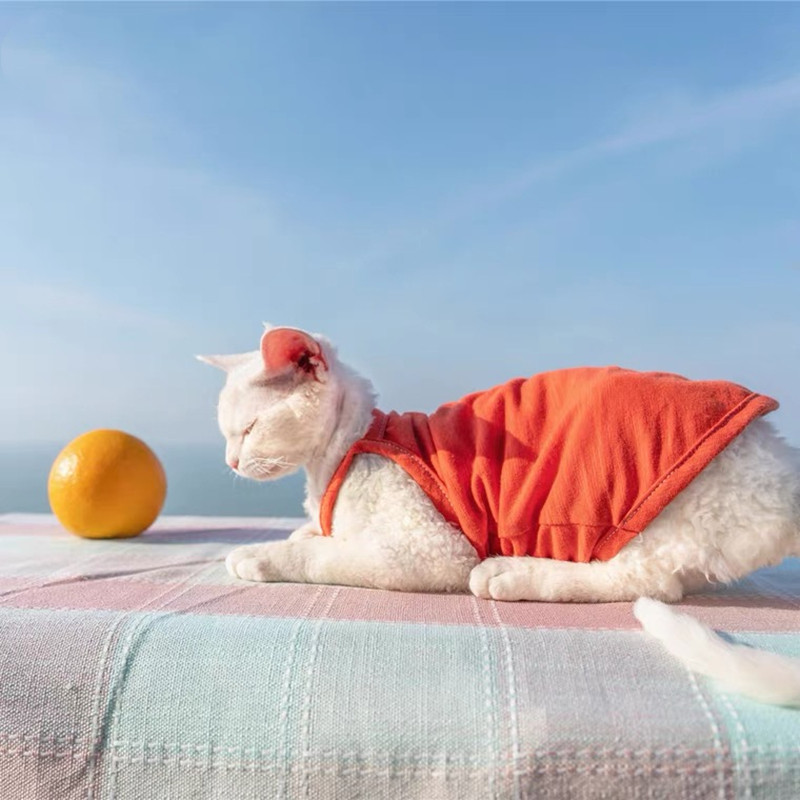 Sfinksa kaķa apģērbs Vasaras luksusa mājdzīvnieku veste Kokvilna Kails kaķēns bez piedurknēm T krekls kucēns maziem suņiem Apģērbs kaķiem Sfinksa