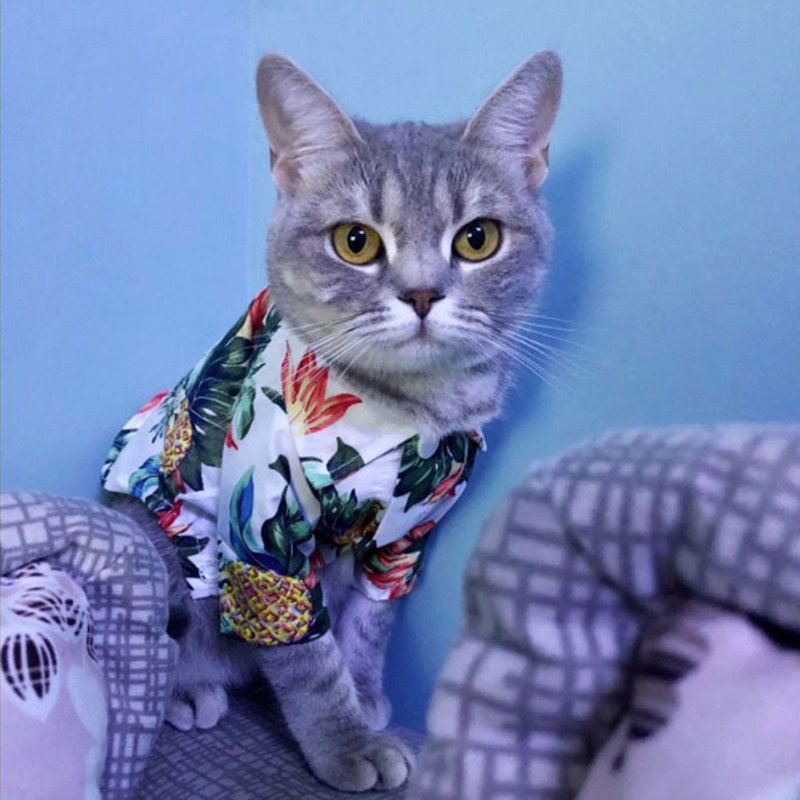 Vasaras suņu apģērbi Kaķu krekls Suņu pludmale T Shrit Havajiešu stila plāns, atsvaidzinošs, elpojošs mājdzīvnieku kucēnu apģērbs Pomerānijas mopsim