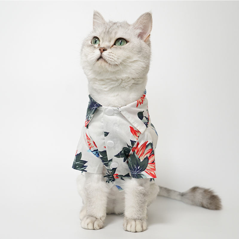 Vasaras kaķi Forši krekli mājdzīvniekiem Havaju pludmales apdruka Apģērbs Kaķēns Ceļojumi Svētku T-krekls ar ziediem Kitijas kucēna maza suņa kostīms