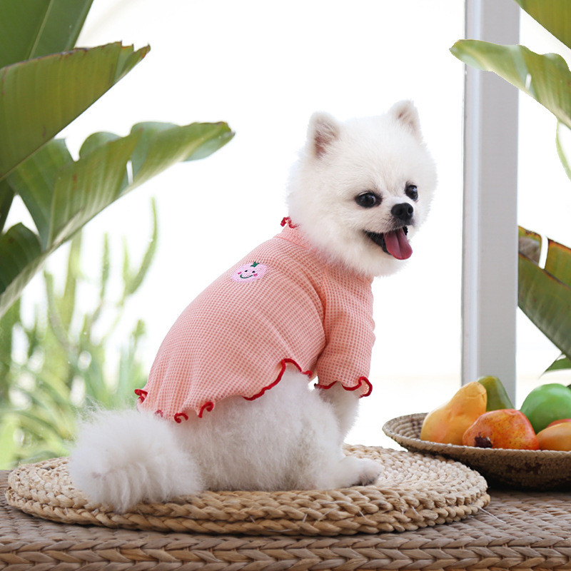 Sēnīte krokains apakšas krekls Pavasara vasara un rudens piederumi Divu kāju apģērbi Teddy Bichon Augļi Suns Kaķis Mājdzīvnieku Apģērbs Jauns