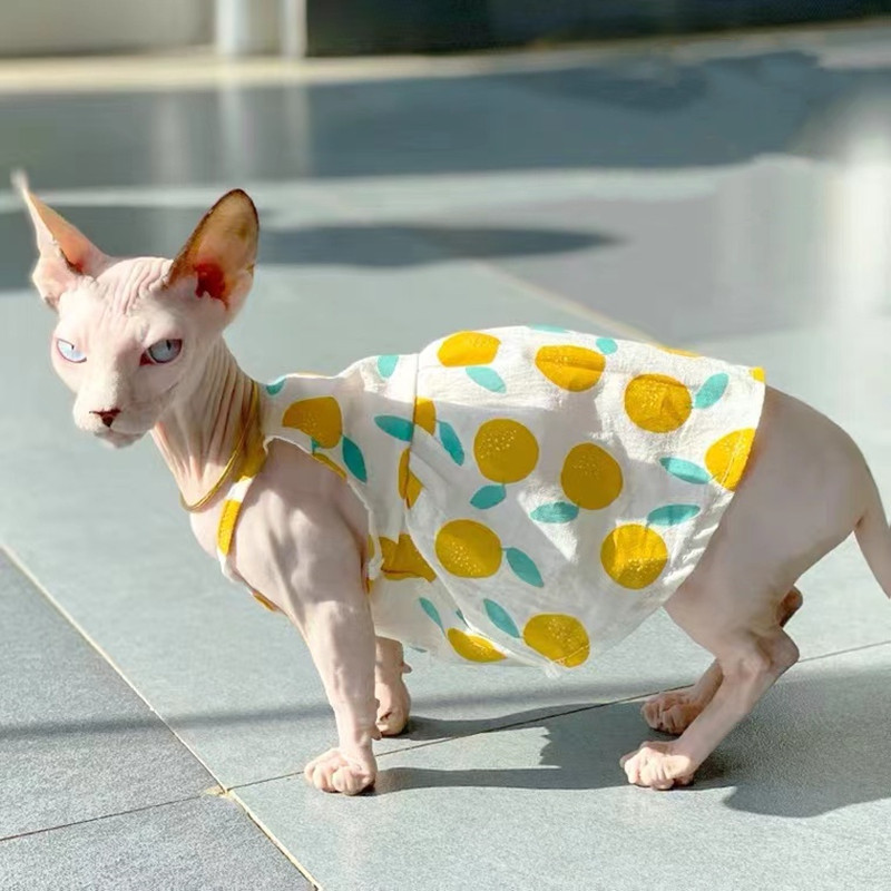 Sfinksa kaķu kleitas greznas drēbes bezkailiem kaķiem vasaras suns, grezni svārki kaķēni Veste kostīms kucēns jauks zemeņu apģērbs