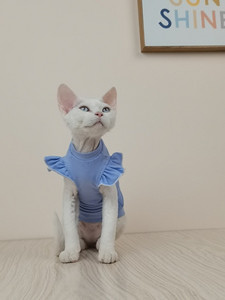 Vékony, ujjú, szfinx pamut mellény Bőrbarát szfinx macska ruhák nyári szőrtelen macska Devon Rex ruhák macska szfinx számára