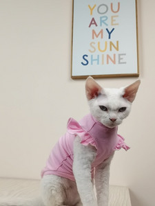 Vékony, ujjú, szfinx pamut mellény Bőrbarát szfinx macska ruhák nyári szőrtelen macska Devon Rex ruhák macska szfinx számára