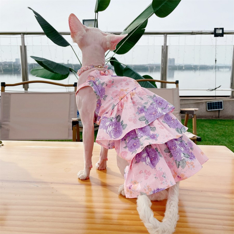 Sfinksa kaķa kūkas kleita mežģīņu ziedu kokvilnas rozā svārki kaķēniem bez matiem kaķu drēbes mīksts plāns materiāls Devon Rex svārki mājdzīvniekam