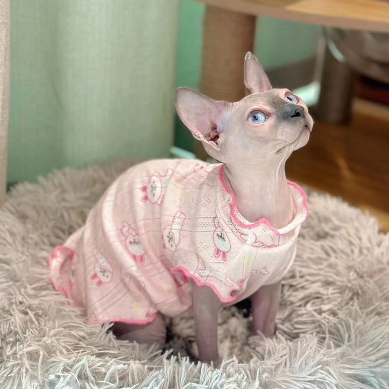 Modes Sphyinx kaķa veste mežģīņu apkaklītē Vasaras drēbes Devon Rex Mīkstas kokvilnas rozā truša mētelis suņiem Kaķēniem mājdzīvnieku piederumi