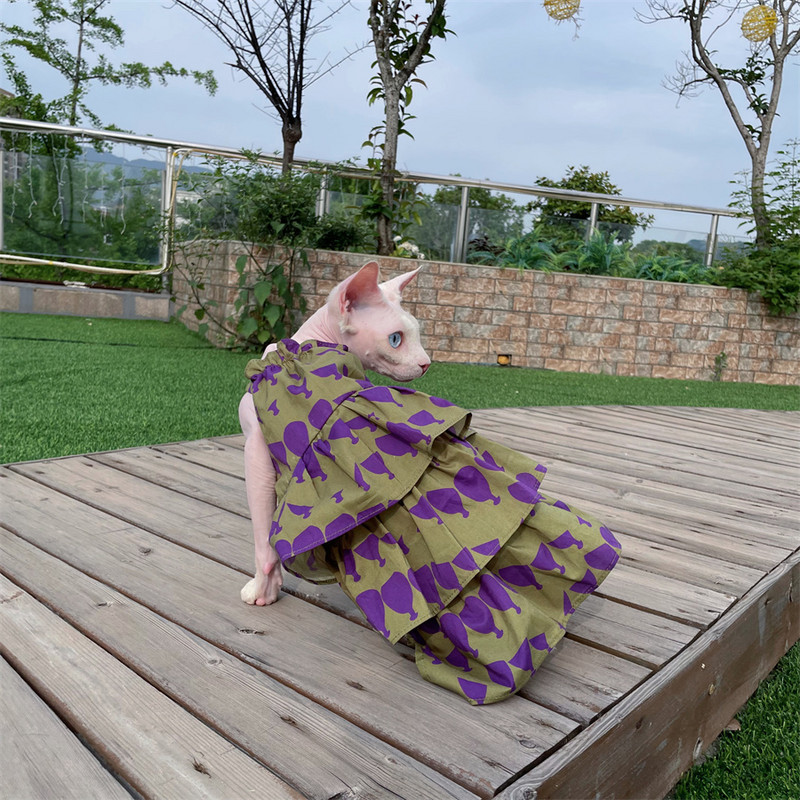 Sfinksa kaķu kūkas kleita mežģīņu kokvilnas svārki bez apmatojuma kaķu drēbēm Mīksta saldi violeta kleita Devon Rex kaķēnu mētelis pavasarī